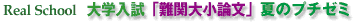 ��w�����@��֑召�_���Ẵv�`�[�~
