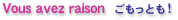 vous aves raison�������Ƃ��@���_���̋^��ɉ����܂�